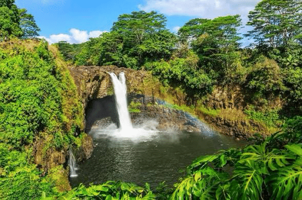 ハワイ島日帰りツアーの景色