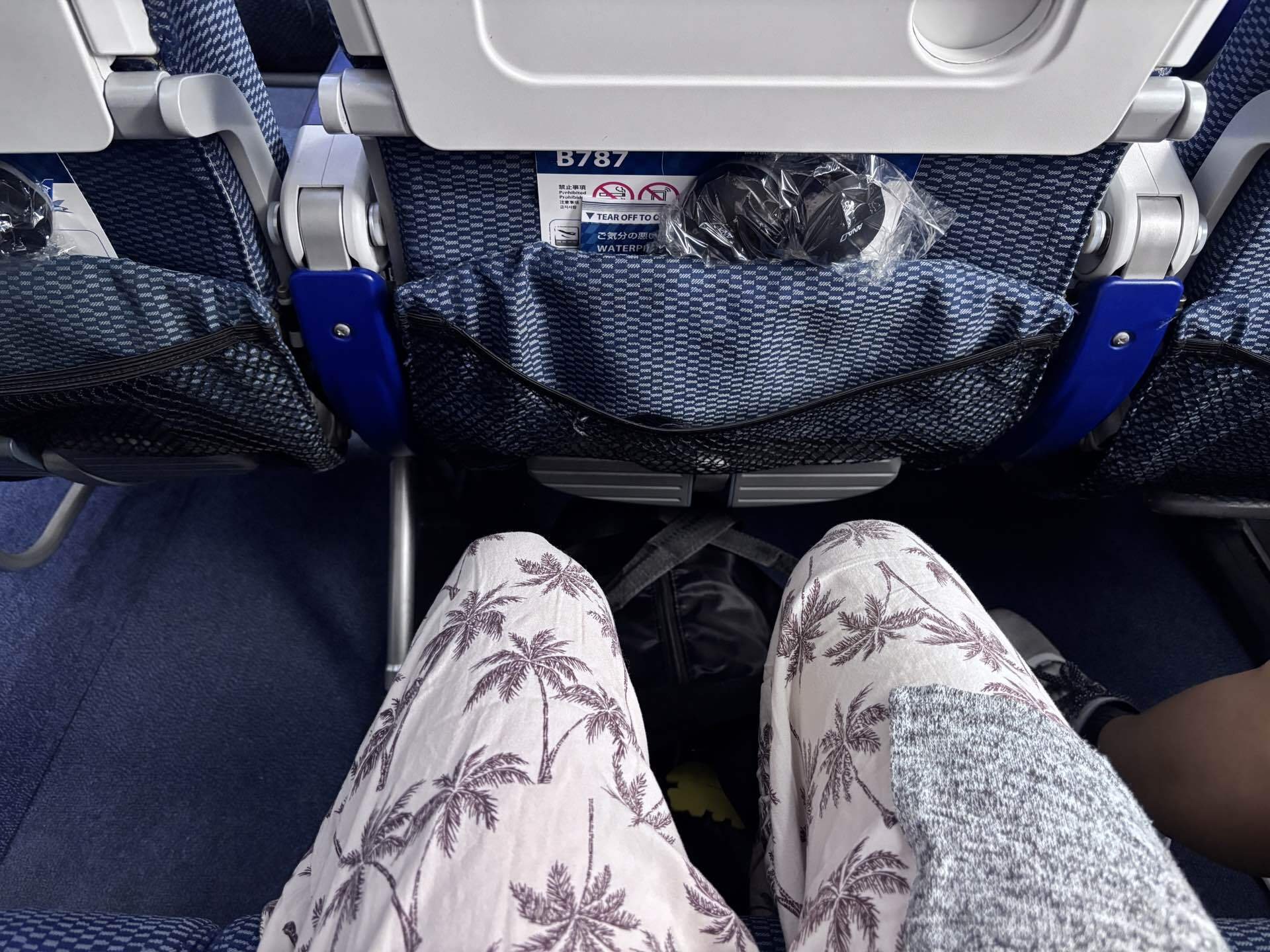 ANA B787 エコノミークラスの座席