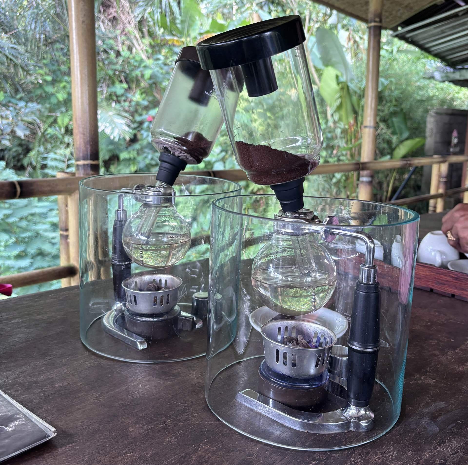 バリ島のコーヒー農園でのジャコウネココーヒー体験