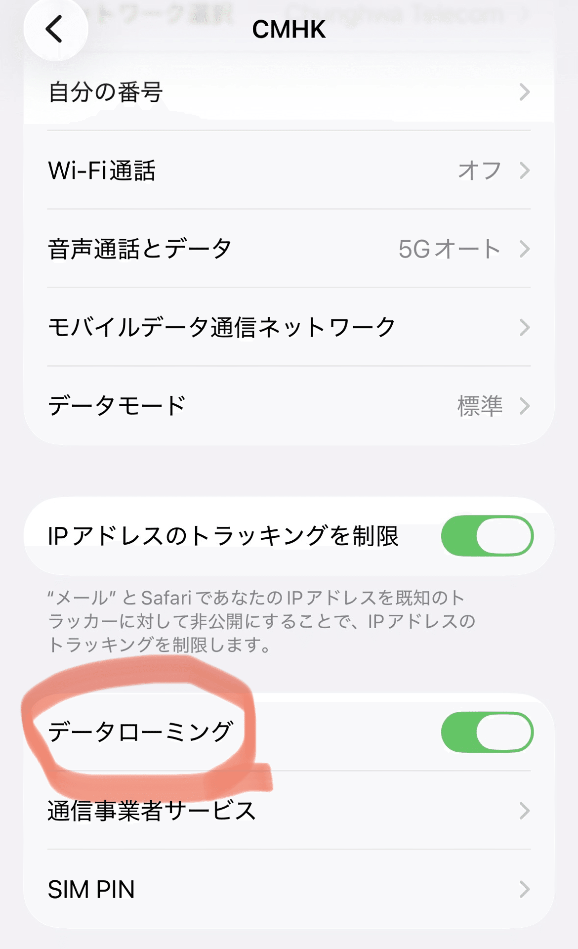 iPhoneのデータローミング設定画面