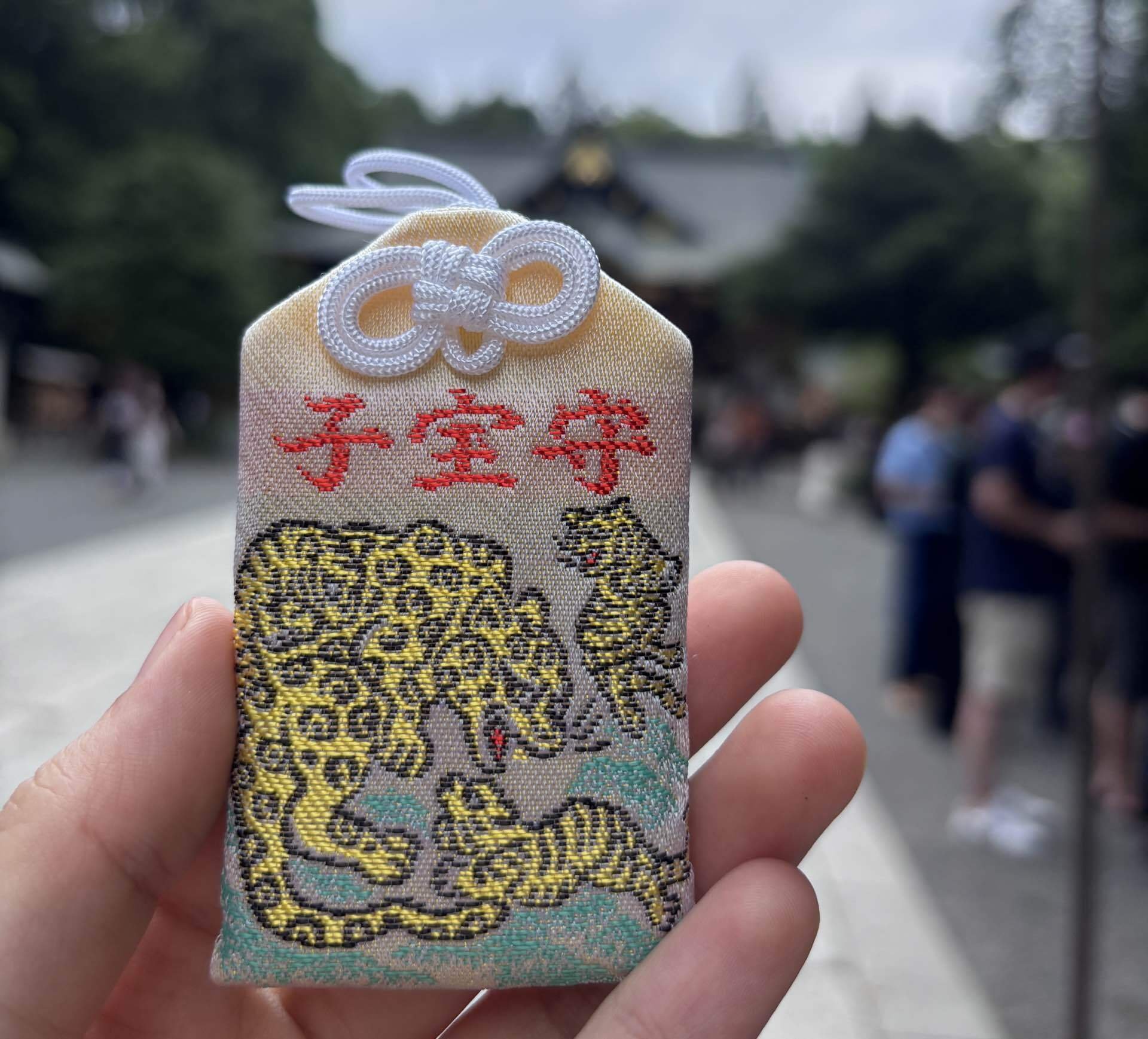 秩父神社で購入した虎のデザインの子宝守り