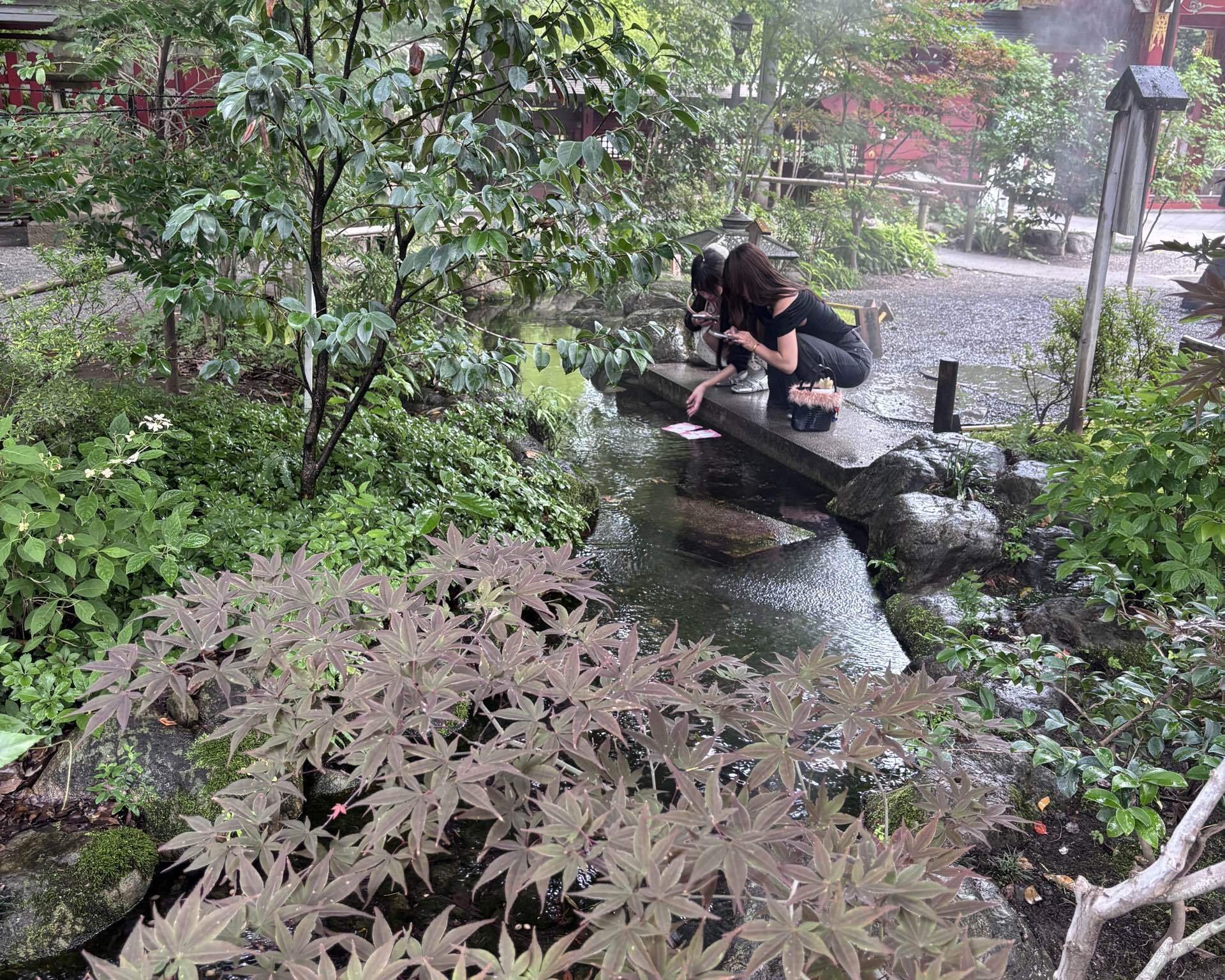 秩父神社の水おみくじ